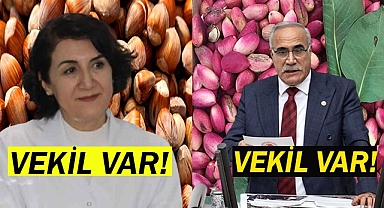 Aziz Aydınlık fıstık üreticilerinin sesi oldu!