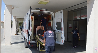 Badem ağacından düşen kişi yaralandı