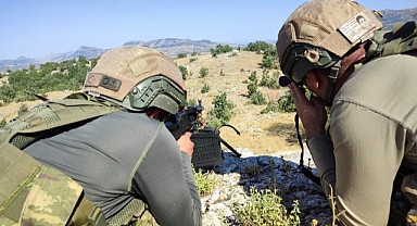 Büyük operasyonda 1 milyon 150 bin kök kenevir ile çok miktarda skunk ele geçirildi