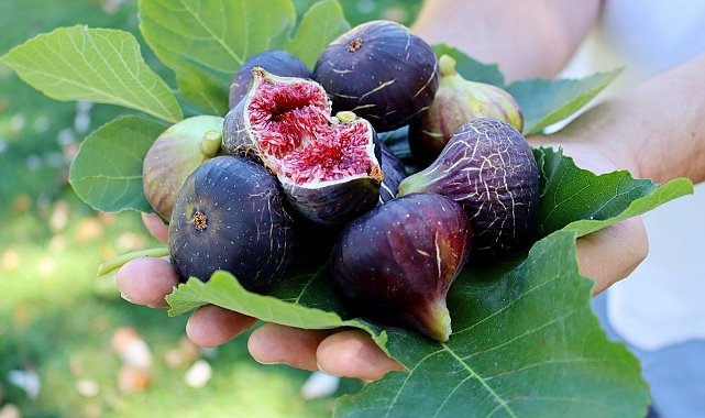 Çay ve kahve vücudun su ihtiyacını arttırıyor