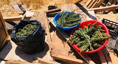 Çiftlik evini uyuşturucu yuvasına çevirmişler