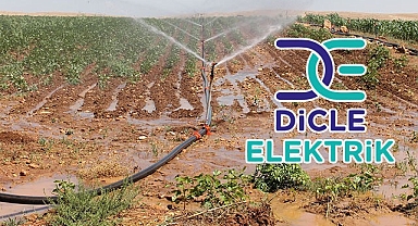 Dicle Elektrik'ten açıklama!