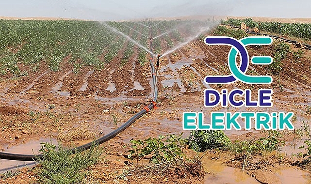 Dicle Elektrik'ten açıklama!