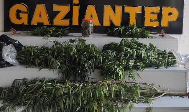 Gaziantep'te dev operasyon 20 gözaltı