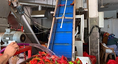 İşletmelerin salça mesaisi başladı