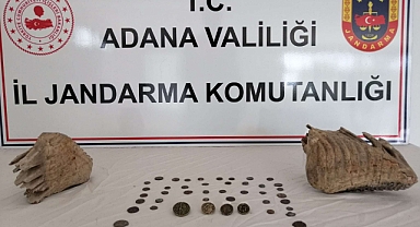 Mamut fosili ele geçirildi