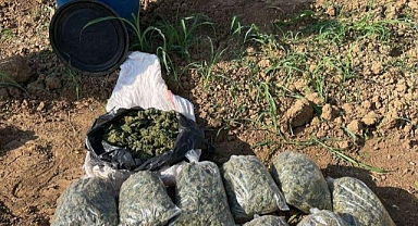 Milyonlarca kök uyuşturucu ele geçirildi