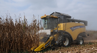 Mısır hasadı başladı