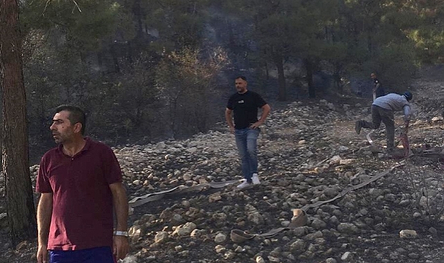 Ormanlık alanda çıkan yangın paniğe neden oldu