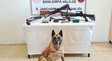Şanlıurfa'da silah operasyonu