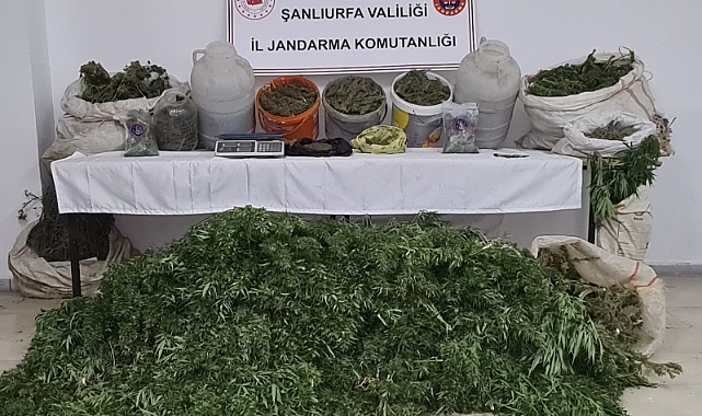 Şanlıurfa’da tarihi eser ve uyuşturucu operasyonu: 2 gözaltı