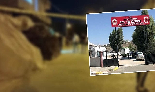 Şanlıurfa'da yine kan aktı
