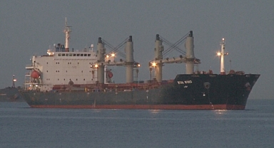 Tahıl yüklü gemiler İstanbul Boğazı'ndan geçti