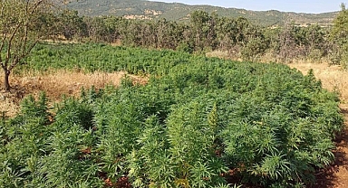 Terörün finansman kaynağı "ablukaya" alındı