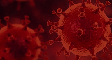 Yeni ölümcül bir virüs ortaya çıktı