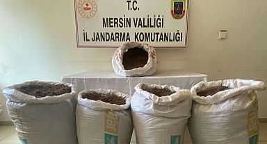 350 kilogram kaçak tütün ele geçirildi