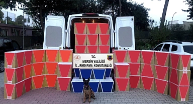 630 bin adet kaçak makaron ele geçirildi