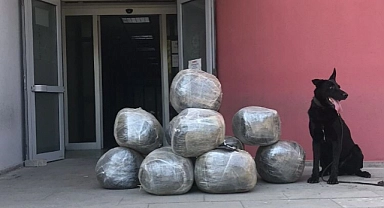 Adana'da 104 kilo esrar ele geçirildi