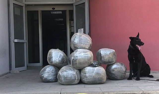 Adana'da 104 kilo esrar ele geçirildi