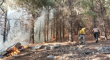Adıyaman’da orman yangını başladı