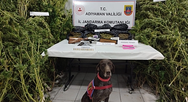 Adıyaman'da uyuşturucu ele geçirildi