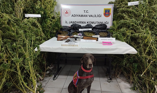 Adıyaman'da uyuşturucu ele geçirildi