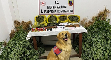 Bahçesinde uyuşturucu yetiştiren 2 kişi yakalandı