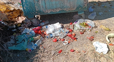 Bir haftalık bebek çöpte ölü bulundu