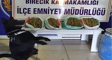 Birecik'te toprağa gömülü halde esrar ele geçirildi!