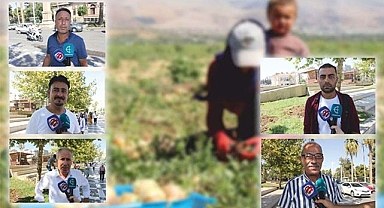 Çocuklar okul yerine tarlaya gidiyor!