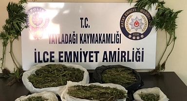 Hatay’da uyuşturucu operasyonları