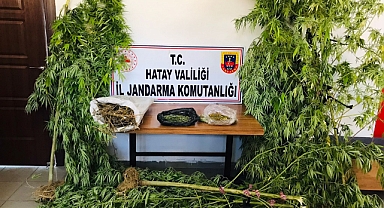 Hatay’da uyuşturucu operasyonu