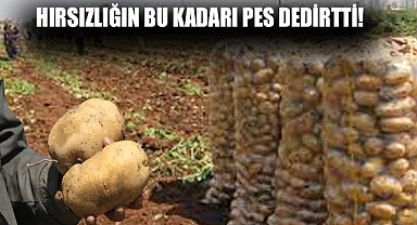 Hırsızlığın bu kadarı pes dedirtti!