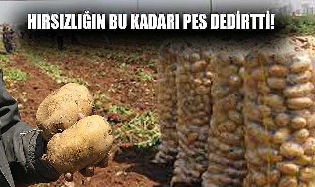 Hırsızlığın bu kadarı pes dedirtti!