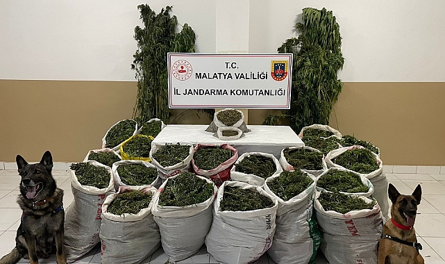 Malatya'da dev operasyon!