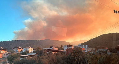 Mersin'de orman yangını