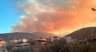 Mersin'de orman yangını