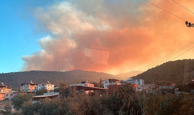 Mersin'de orman yangını