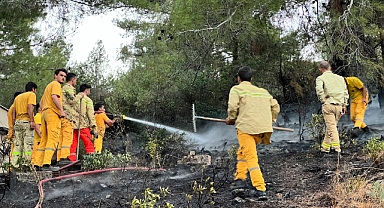 Ormanlık alanda çıkan yangın söndürüldü