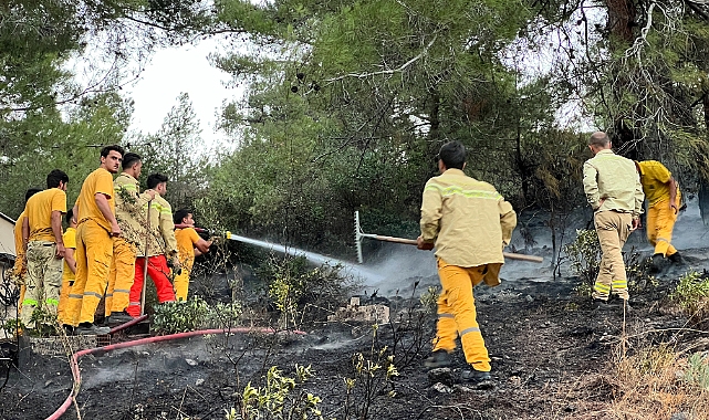 Ormanlık alanda çıkan yangın söndürüldü