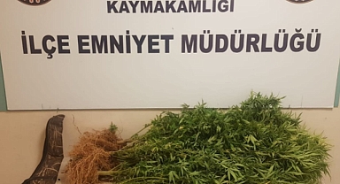 Saksıda uyuşturucu bulundu: 3 gözaltı