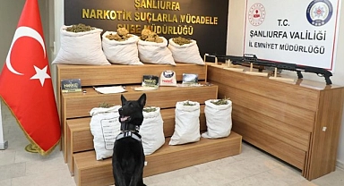 Şanlıurfa'da kapsamlı uyuşturucu operasyonu! 86 gözaltı