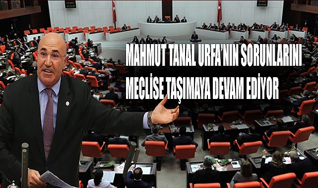 Tanal Urfanın sorunlarını meclise taşımaya devam ediyor!