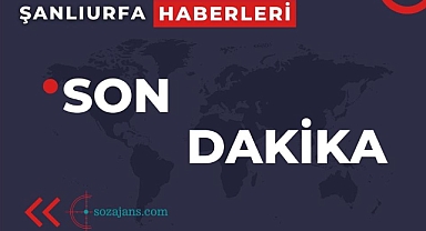 Urfa'da terörden aranan zanlı yakalandı