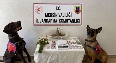 Uyuşturucu operasyonu: 1 tutuklama