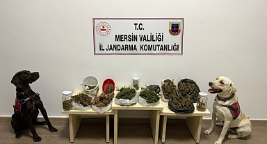 Uyuşturucu operasyonu: 2 gözaltı