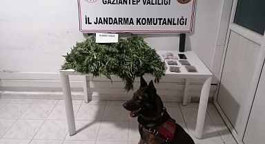 Uyuşturucu operasyonunda 11 kişi tutuklandı
