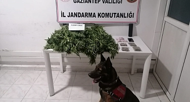 Uyuşturucu operasyonunda 11 kişi tutuklandı