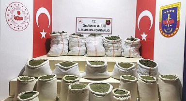 232 bin kök kenevir ele geçirildi!