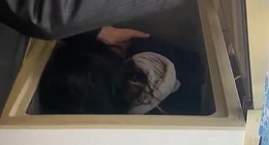 4 suçtan aranan kadın derin dondurucudan çıktı